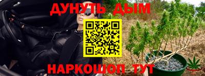 таблы Сланцы
