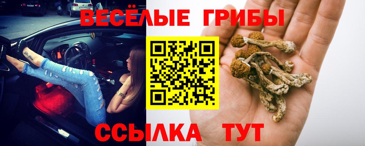 Псилоцибиновые грибы мицелий  Вход с VPN  Нурлат 