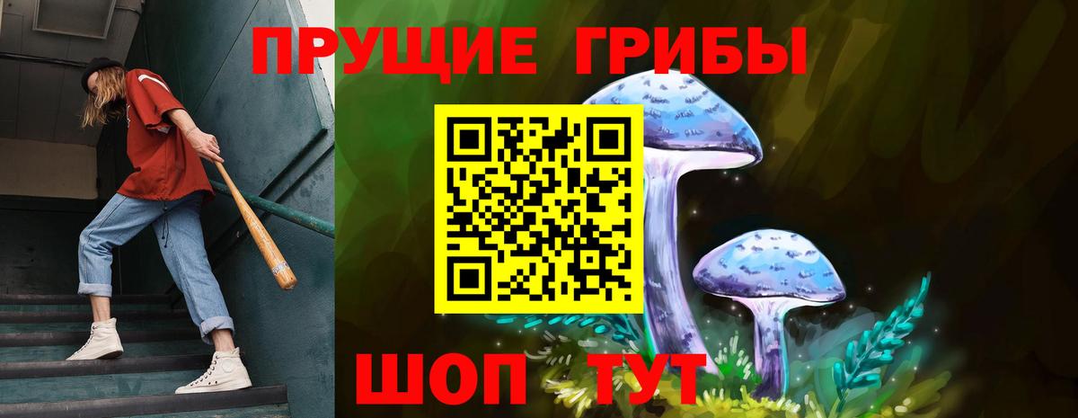 Галлюциногенные грибы Psilocybe Нурлат